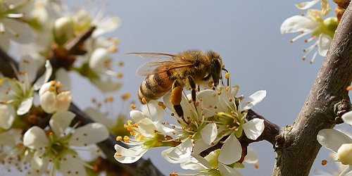 Angebote für den Frühling aus D-A-CH und Südtirol